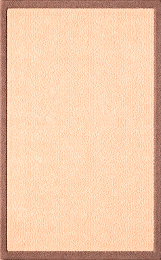 Rug Light Beige